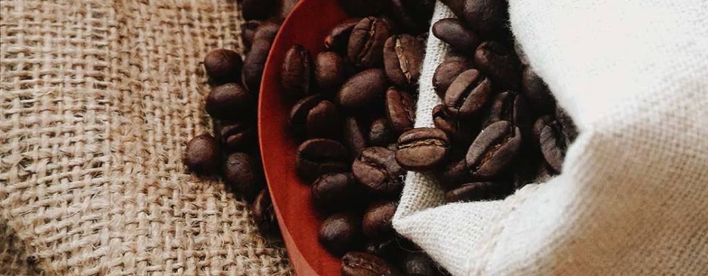 grãos de cafés especiais