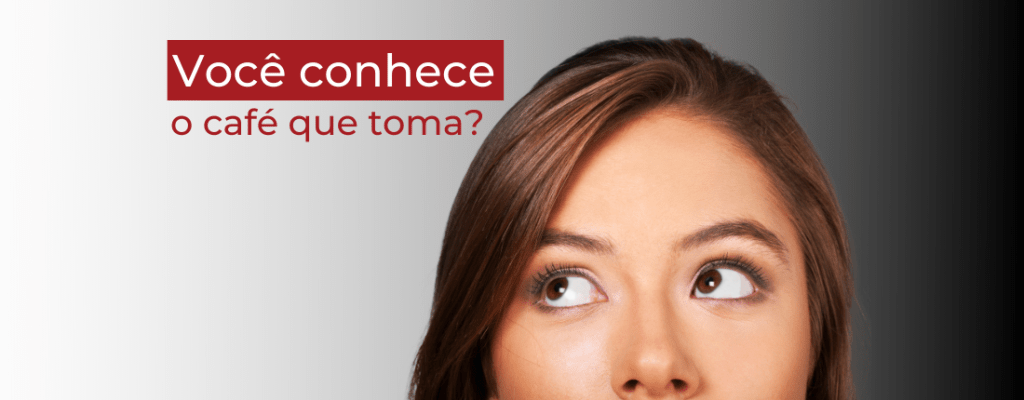 café; torrefação; especial; grão.