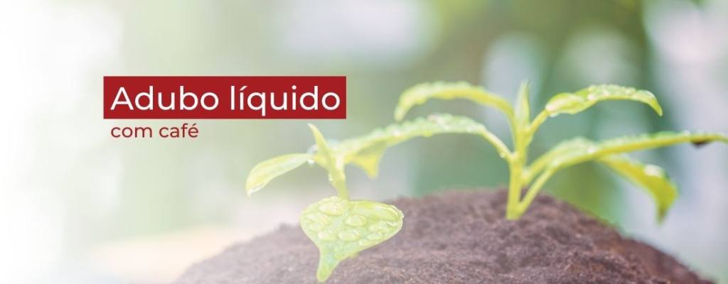 Adubo líquido com café